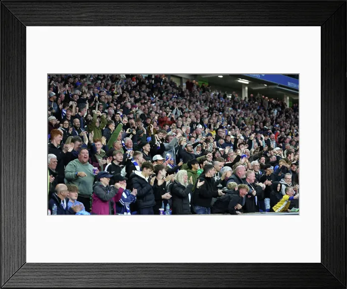 Framed Print : Brighton and Hove Albion v Tottenham Hotspur Premier League 06OCT24 Framed Print : Brighton and Hove Albion v Tottenham Hotspur Premier League 06OCT24