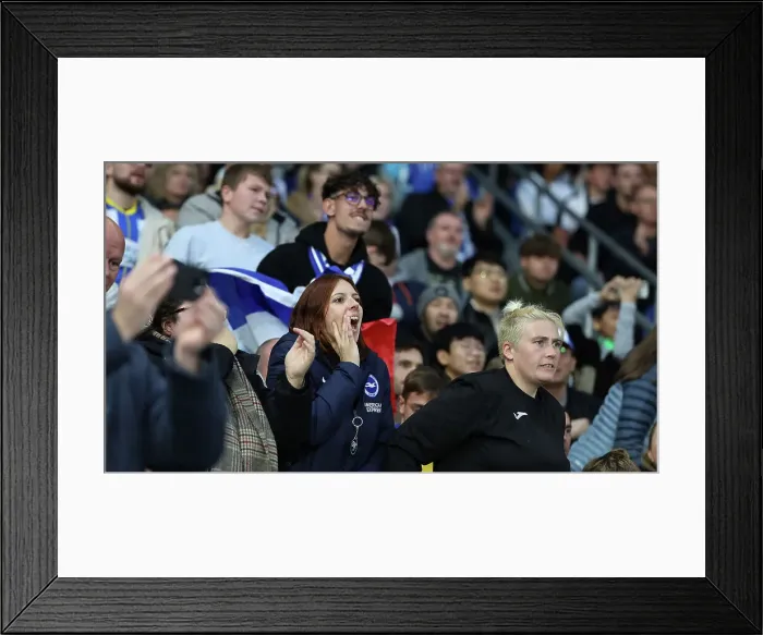 Framed Print : Brighton and Hove Albion v Tottenham Hotspur Premier League 06OCT24 Framed Print : Brighton and Hove Albion v Tottenham Hotspur Premier League 06OCT24