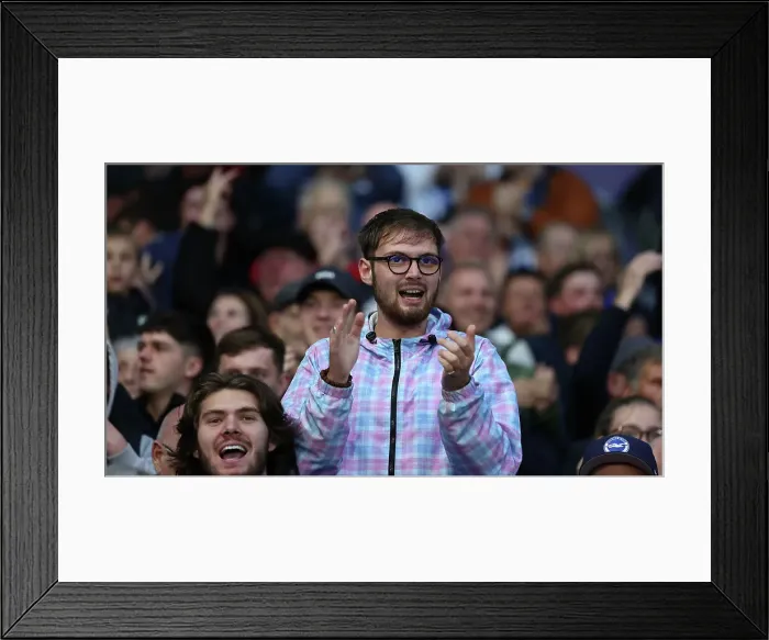 Framed Print : Brighton and Hove Albion v Tottenham Hotspur Premier League 06OCT24 Framed Print : Brighton and Hove Albion v Tottenham Hotspur Premier League 06OCT24