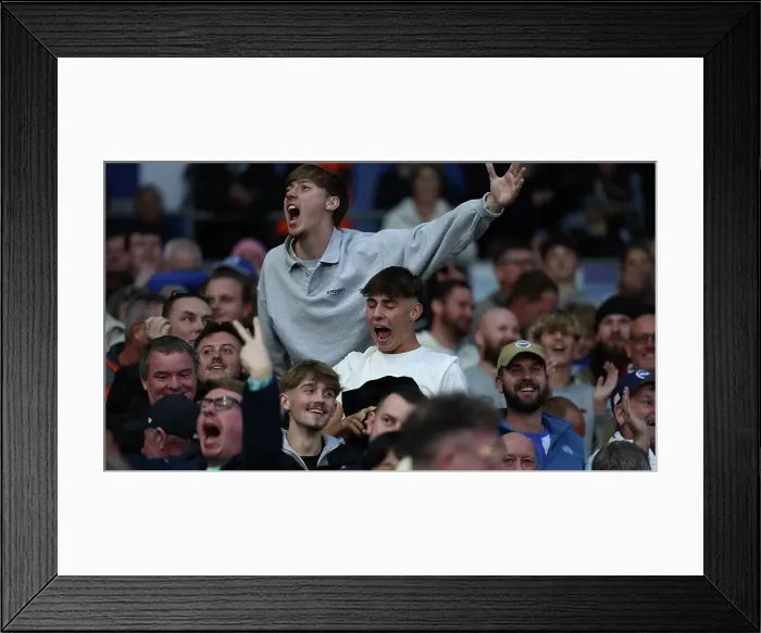 Framed Print : Brighton and Hove Albion v Tottenham Hotspur Premier League 06OCT24 Framed Print : Brighton and Hove Albion v Tottenham Hotspur Premier League 06OCT24
