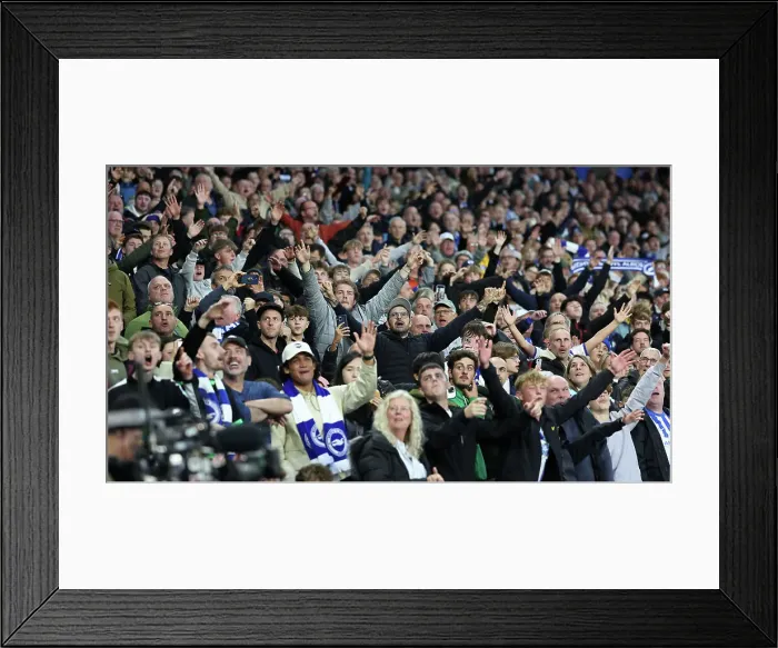 Framed Print : Brighton and Hove Albion v Tottenham Hotspur Premier League 06OCT24 Framed Print : Brighton and Hove Albion v Tottenham Hotspur Premier League 06OCT24