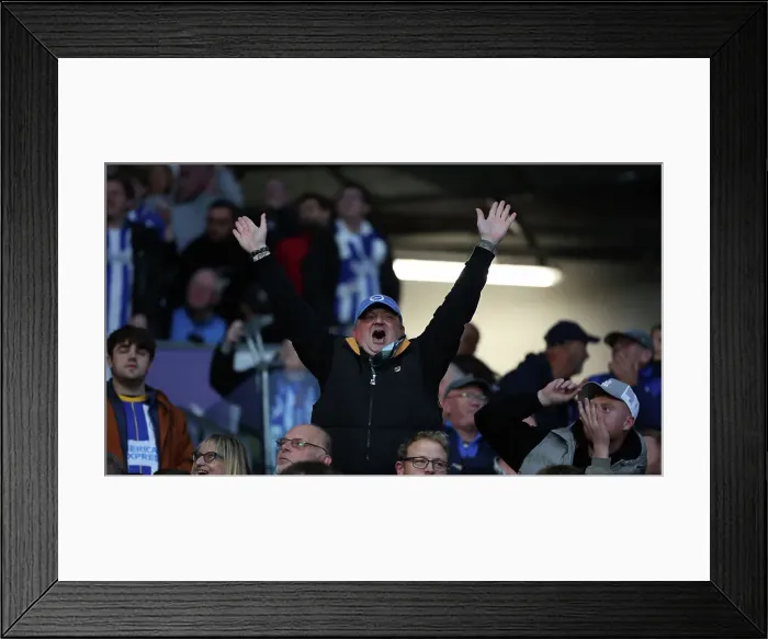 Framed Print : Brighton and Hove Albion v Tottenham Hotspur Premier League 06OCT24 Framed Print : Brighton and Hove Albion v Tottenham Hotspur Premier League 06OCT24