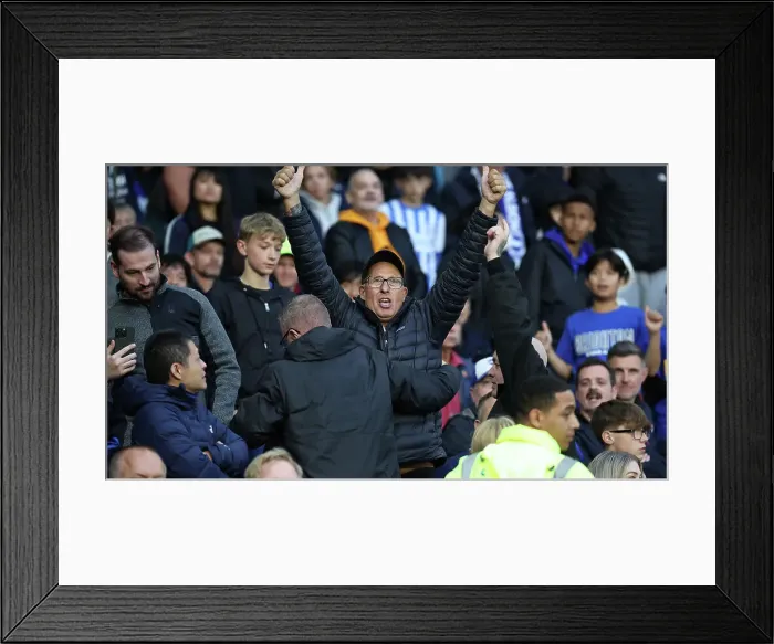 Framed Print : Brighton and Hove Albion v Tottenham Hotspur Premier League 06OCT24 Framed Print : Brighton and Hove Albion v Tottenham Hotspur Premier League 06OCT24