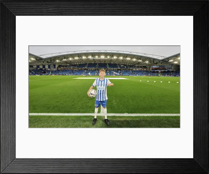 Framed Print : Brighton and Hove Albion v Tottenham Hotspur Premier League 06OCT24 Framed Print : Brighton and Hove Albion v Tottenham Hotspur Premier League 06OCT24