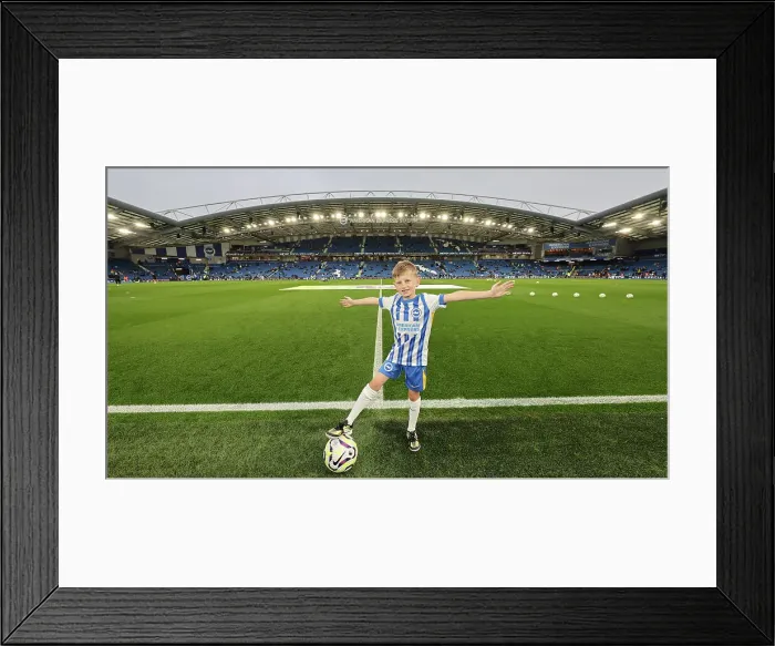 Framed Print : Brighton and Hove Albion v Tottenham Hotspur Premier League 06OCT24 Framed Print : Brighton and Hove Albion v Tottenham Hotspur Premier League 06OCT24
