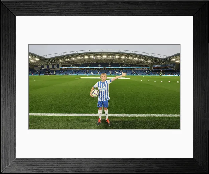 Framed Print : Brighton and Hove Albion v Tottenham Hotspur Premier League 06OCT24 Framed Print : Brighton and Hove Albion v Tottenham Hotspur Premier League 06OCT24