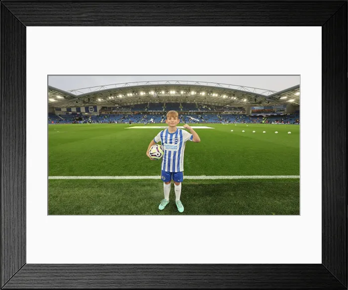 Framed Print : Brighton and Hove Albion v Tottenham Hotspur Premier League 06OCT24 Framed Print : Brighton and Hove Albion v Tottenham Hotspur Premier League 06OCT24