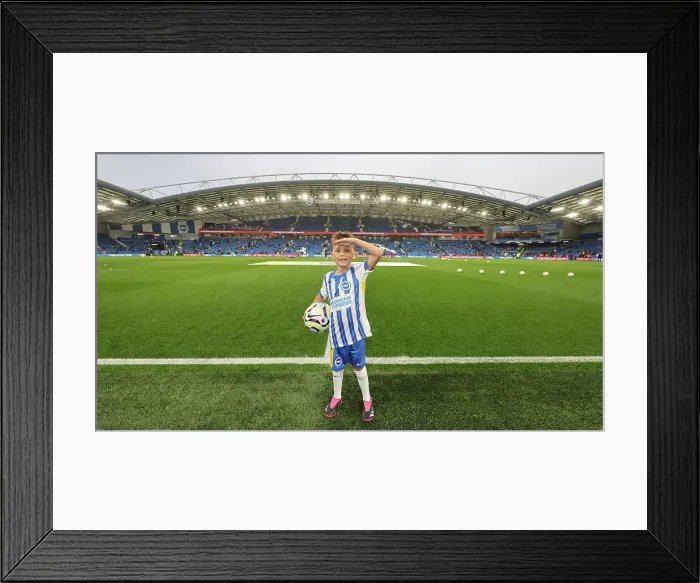 Framed Print : Brighton and Hove Albion v Tottenham Hotspur Premier League 06OCT24 Framed Print : Brighton and Hove Albion v Tottenham Hotspur Premier League 06OCT24