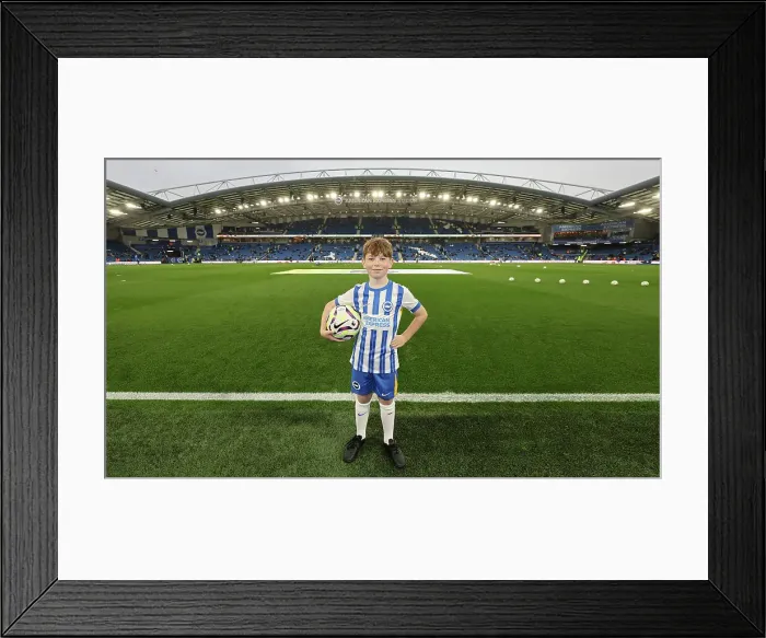 Framed Print : Brighton and Hove Albion v Tottenham Hotspur Premier League 06OCT24 Framed Print : Brighton and Hove Albion v Tottenham Hotspur Premier League 06OCT24