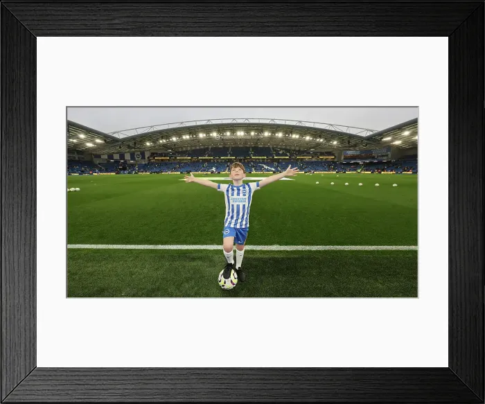 Framed Print : Brighton and Hove Albion v Tottenham Hotspur Premier League 06OCT24 Framed Print : Brighton and Hove Albion v Tottenham Hotspur Premier League 06OCT24