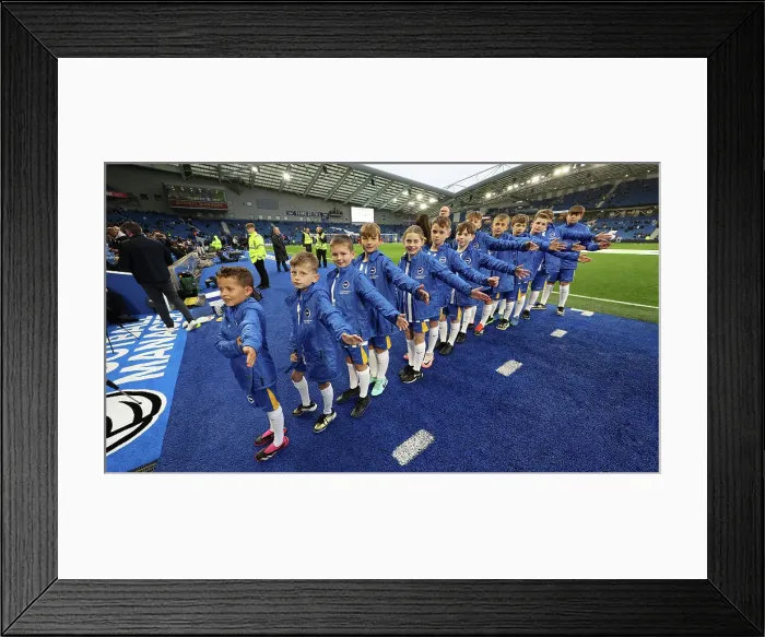 Framed Print : Brighton and Hove Albion v Tottenham Hotspur Premier League 06OCT24 Framed Print : Brighton and Hove Albion v Tottenham Hotspur Premier League 06OCT24