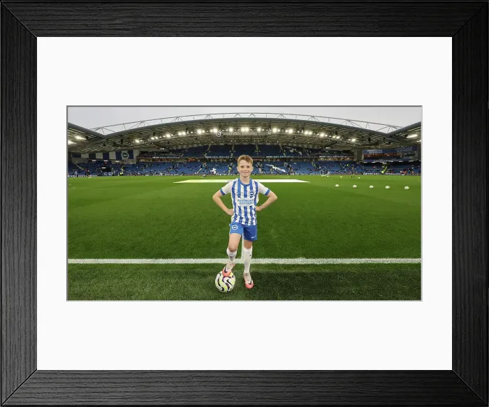 Framed Print : Brighton and Hove Albion v Tottenham Hotspur Premier League 06OCT24 Framed Print : Brighton and Hove Albion v Tottenham Hotspur Premier League 06OCT24