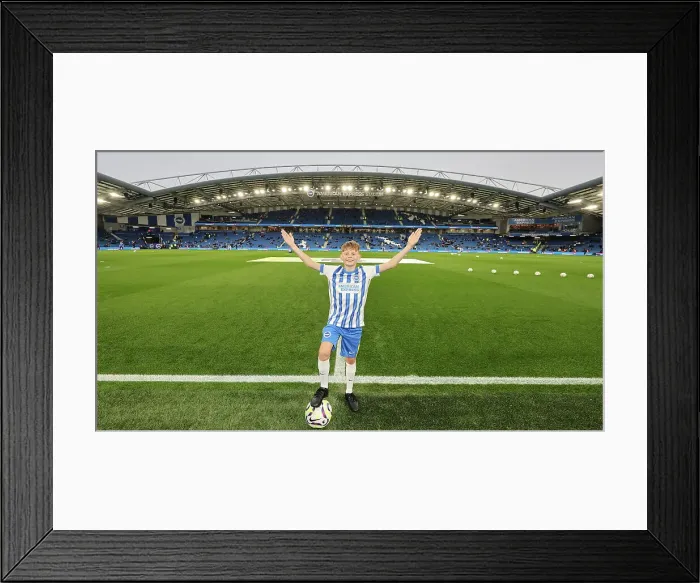Framed Print : Brighton and Hove Albion v Tottenham Hotspur Premier League 06OCT24