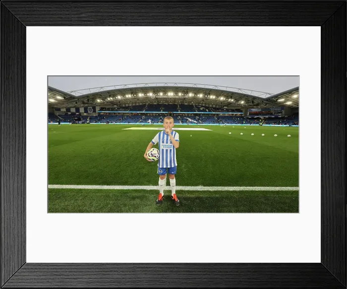 Framed Print : Brighton and Hove Albion v Tottenham Hotspur Premier League 06OCT24 Framed Print : Brighton and Hove Albion v Tottenham Hotspur Premier League 06OCT24