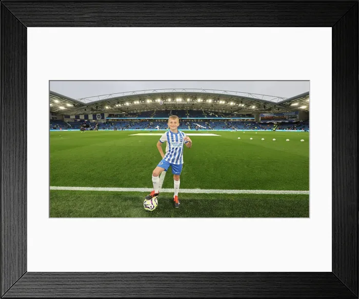 Framed Print : Brighton and Hove Albion v Tottenham Hotspur Premier League 06OCT24 Framed Print : Brighton and Hove Albion v Tottenham Hotspur Premier League 06OCT24