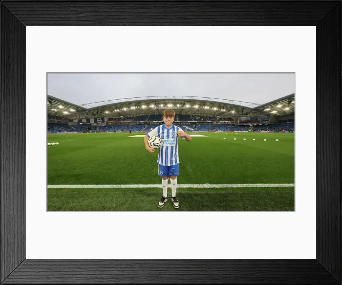 Framed Print : Brighton and Hove Albion v Tottenham Hotspur Premier League 06OCT24 Framed Print : Brighton and Hove Albion v Tottenham Hotspur Premier League 06OCT24