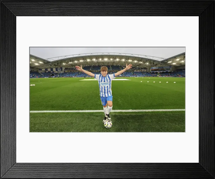 Framed Print : Brighton and Hove Albion v Tottenham Hotspur Premier League 06OCT24 Framed Print : Brighton and Hove Albion v Tottenham Hotspur Premier League 06OCT24