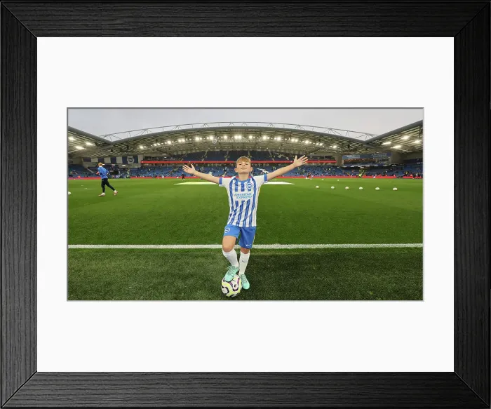 Framed Print : Brighton and Hove Albion v Tottenham Hotspur Premier League 06OCT24 Framed Print : Brighton and Hove Albion v Tottenham Hotspur Premier League 06OCT24