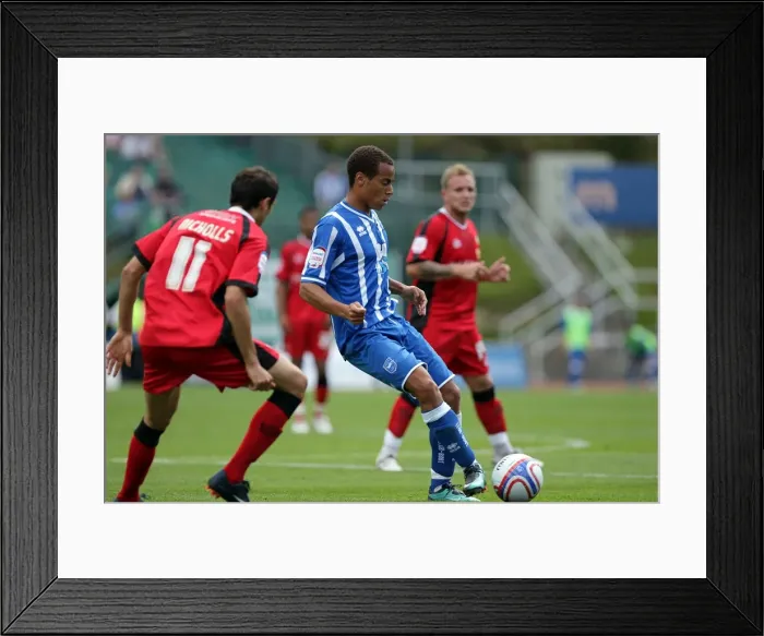 Framed Print : Brighton & Hove Albion: 2010-11 Season - Home Match vs. Walsall Framed Print : Brighton & Hove Albion: 2010-11 Season - Home Match vs. Walsall