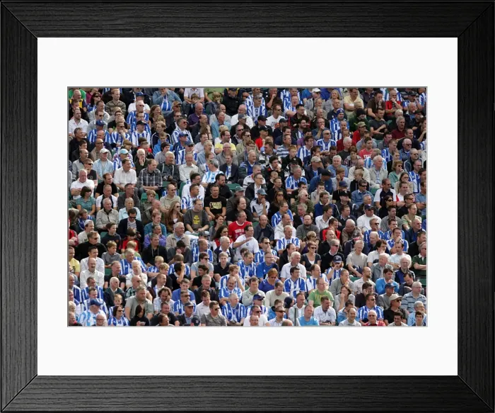 Framed Print : Brighton & Hove Albion FC: South Stand Roar at Walsall (28th August 2010)