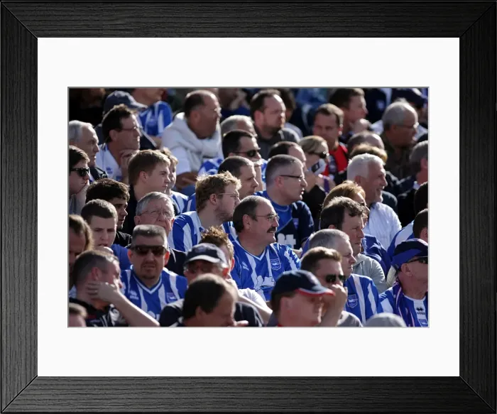 Framed Print : Brighton & Hove Albion FC: South Stand Euphoria vs Walsall, August 28, 2010 Framed Print : Brighton & Hove Albion FC: South Stand Euphoria vs Walsall, August 28, 2010