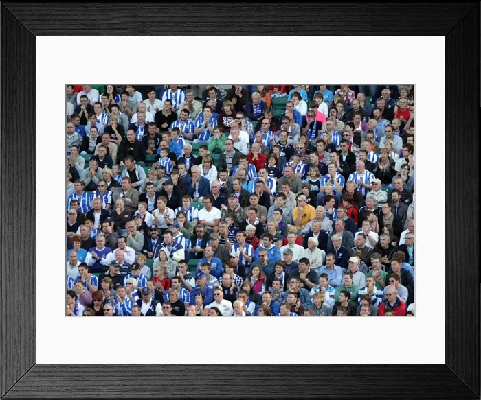 Framed Print : South Stand Euphoria: Brighton & Hove Albion FC vs Walsall, 28th August 2010 Framed Print : South Stand Euphoria: Brighton & Hove Albion FC vs Walsall, 28th August 2010