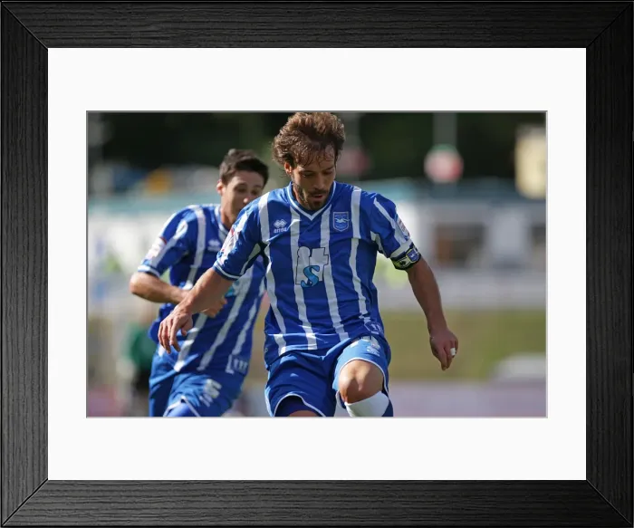 Framed Print : Brighton & Hove Albion: 2010-11 Season Home Game vs. Walsall Framed Print : Brighton & Hove Albion: 2010-11 Season Home Game vs. Walsall