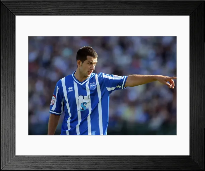 Framed Print : Brighton & Hove Albion 2010-11: Home Game vs. Walsall Framed Print : Brighton & Hove Albion 2010-11: Home Game vs. Walsall
