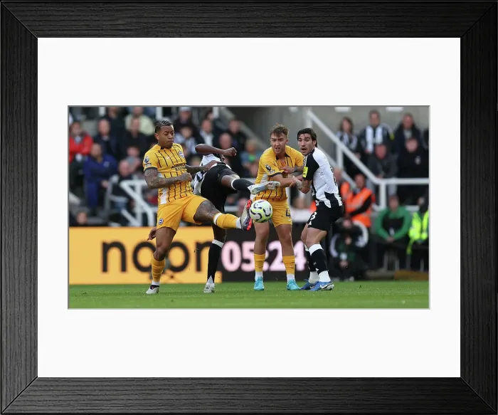 Framed Print : Newcastle United v Brighton and Hove Albion Premier League 19OCT24 Framed Print : Newcastle United v Brighton and Hove Albion Premier League 19OCT24