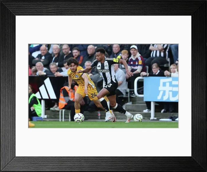 Framed Print : Newcastle United v Brighton and Hove Albion Premier League 19OCT24 Framed Print : Newcastle United v Brighton and Hove Albion Premier League 19OCT24
