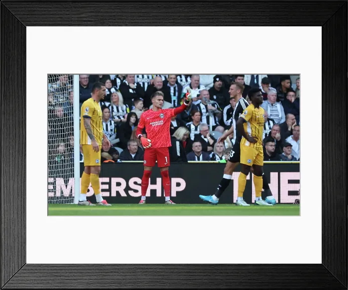Framed Print : Newcastle United v Brighton and Hove Albion Premier League 19OCT24 Framed Print : Newcastle United v Brighton and Hove Albion Premier League 19OCT24