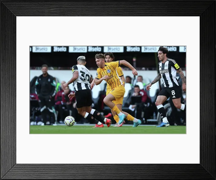 Framed Print : Newcastle United v Brighton and Hove Albion Premier League 19OCT24 Framed Print : Newcastle United v Brighton and Hove Albion Premier League 19OCT24