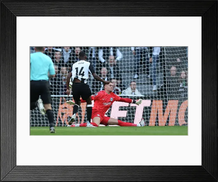 Framed Print : Newcastle United v Brighton and Hove Albion Premier League 19OCT24