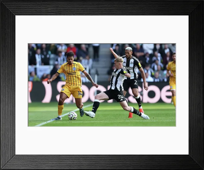 Framed Print : Newcastle United v Brighton and Hove Albion Premier League 19OCT24 Framed Print : Newcastle United v Brighton and Hove Albion Premier League 19OCT24