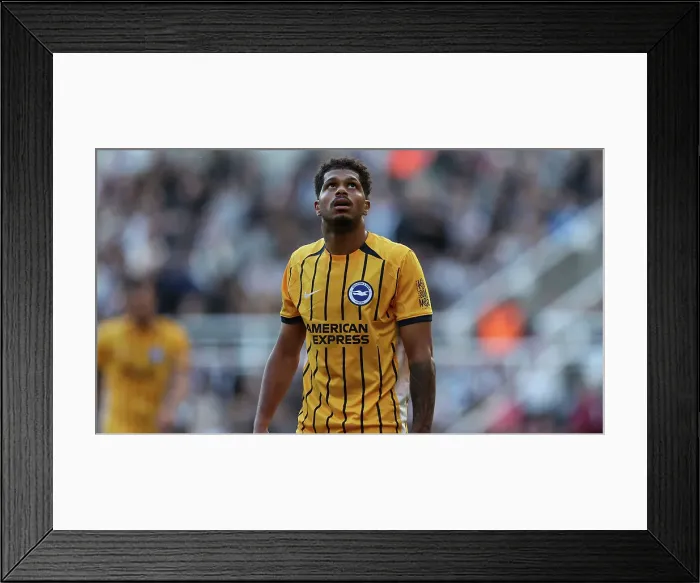 Framed Print : Newcastle United v Brighton and Hove Albion Premier League 19OCT24 Framed Print : Newcastle United v Brighton and Hove Albion Premier League 19OCT24
