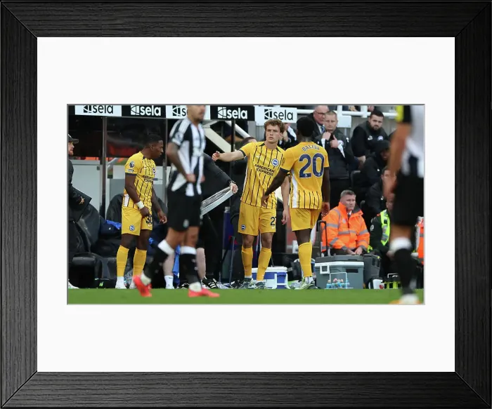 Framed Print : Newcastle United v Brighton and Hove Albion Premier League 19OCT24 Framed Print : Newcastle United v Brighton and Hove Albion Premier League 19OCT24