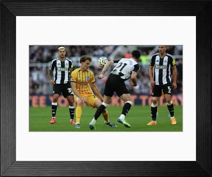 Framed Print : Newcastle United v Brighton and Hove Albion Premier League 19OCT24 Framed Print : Newcastle United v Brighton and Hove Albion Premier League 19OCT24