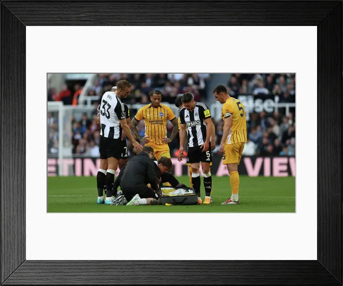 Framed Print : Newcastle United v Brighton and Hove Albion Premier League 19OCT24 Framed Print : Newcastle United v Brighton and Hove Albion Premier League 19OCT24