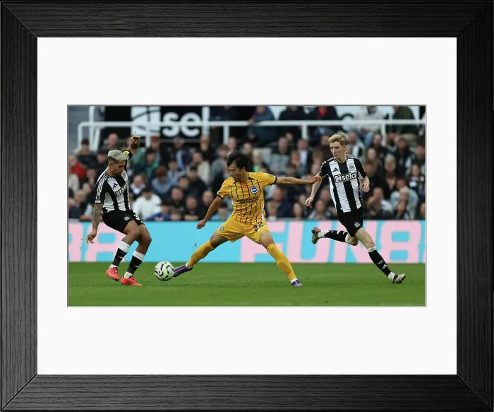 Framed Print : Newcastle United v Brighton and Hove Albion Premier League 19OCT24 Framed Print : Newcastle United v Brighton and Hove Albion Premier League 19OCT24