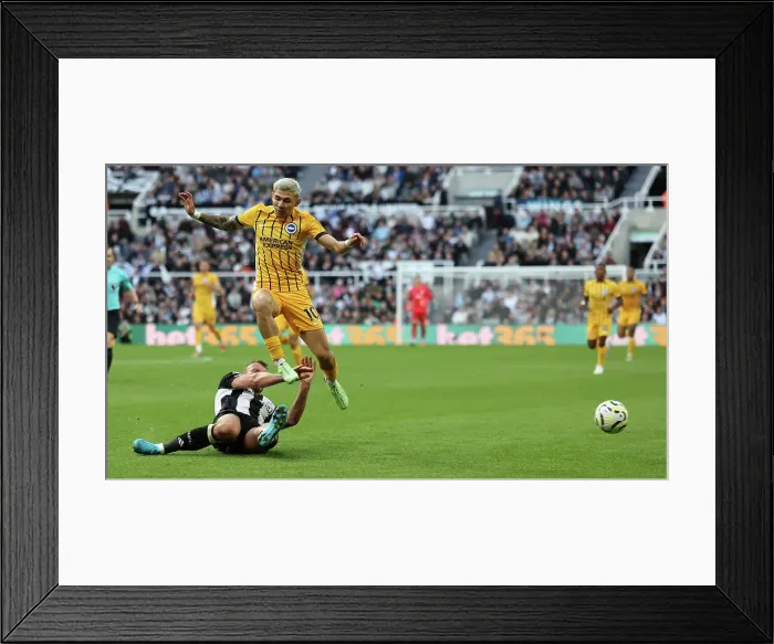 Framed Print : Newcastle United v Brighton and Hove Albion Premier League 19OCT24 Framed Print : Newcastle United v Brighton and Hove Albion Premier League 19OCT24