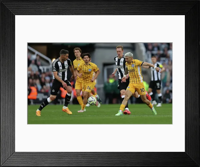 Framed Print : Newcastle United v Brighton and Hove Albion Premier League 19OCT24 Framed Print : Newcastle United v Brighton and Hove Albion Premier League 19OCT24