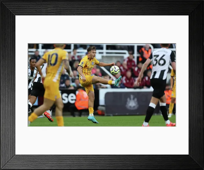 Framed Print : Newcastle United v Brighton and Hove Albion Premier League 19OCT24 Framed Print : Newcastle United v Brighton and Hove Albion Premier League 19OCT24