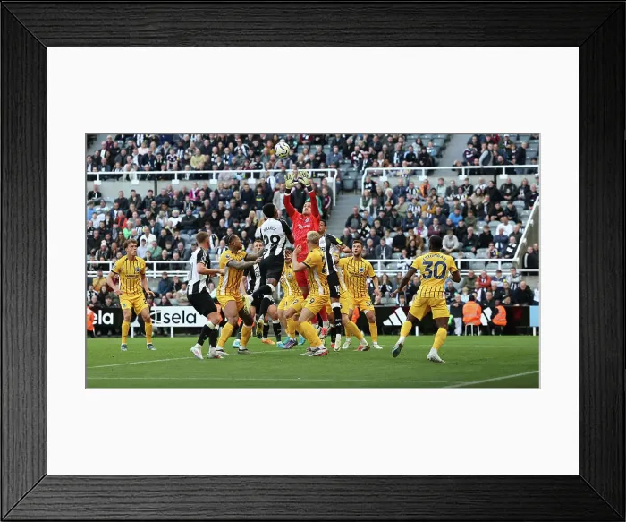 Framed Print : Newcastle United v Brighton and Hove Albion Premier League 19OCT24 Framed Print : Newcastle United v Brighton and Hove Albion Premier League 19OCT24