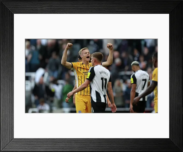 Framed Print : Newcastle United v Brighton and Hove Albion Premier League 19OCT24 Framed Print : Newcastle United v Brighton and Hove Albion Premier League 19OCT24