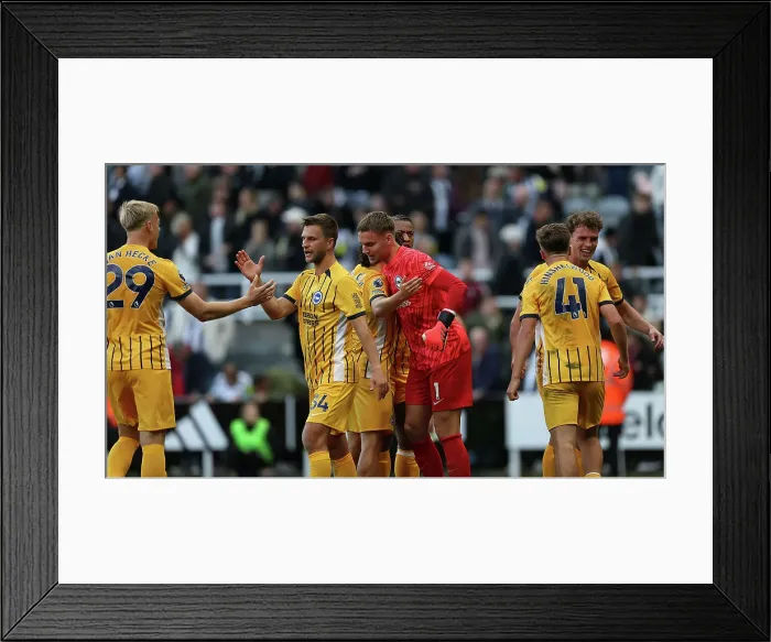 Framed Print : Newcastle United v Brighton and Hove Albion Premier League 19OCT24 Framed Print : Newcastle United v Brighton and Hove Albion Premier League 19OCT24