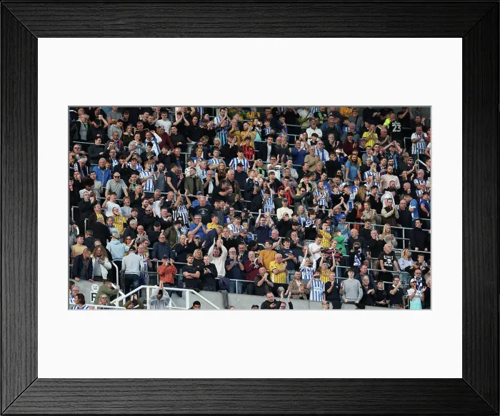 Framed Print : Newcastle United v Brighton and Hove Albion Premier League 19OCT24 Framed Print : Newcastle United v Brighton and Hove Albion Premier League 19OCT24