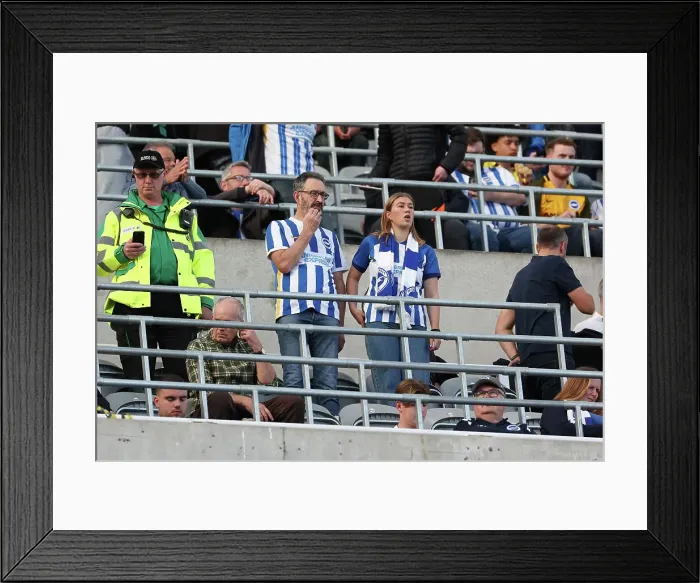 Framed Print : Newcastle United v Brighton and Hove Albion Premier League 19OCT24 Framed Print : Newcastle United v Brighton and Hove Albion Premier League 19OCT24