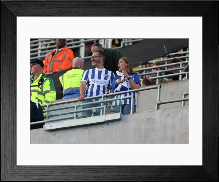 Framed Print : Newcastle United v Brighton and Hove Albion Premier League 19OCT24 Framed Print : Newcastle United v Brighton and Hove Albion Premier League 19OCT24