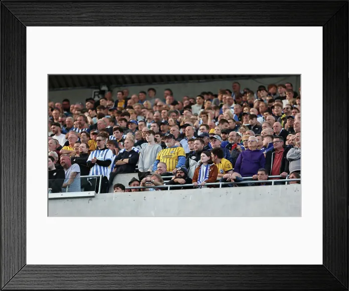 Framed Print : Newcastle United v Brighton and Hove Albion Premier League 19OCT24 Framed Print : Newcastle United v Brighton and Hove Albion Premier League 19OCT24