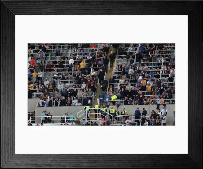Framed Print : Newcastle United v Brighton and Hove Albion Premier League 19OCT24 Framed Print : Newcastle United v Brighton and Hove Albion Premier League 19OCT24